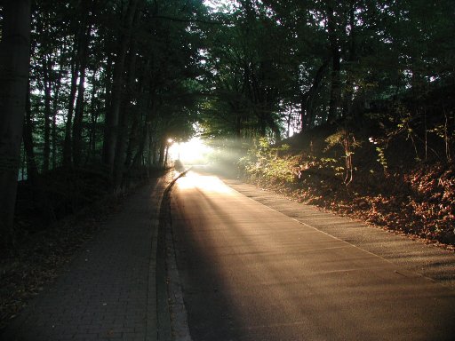 (Siegerbild: Foto Straße Kirchberg in die aufgehende Sonne)